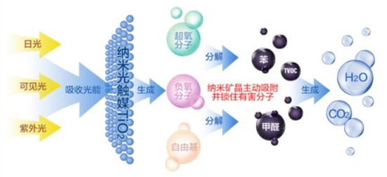 洋蔥可以除甲醛？民間流傳土方法可信嗎？