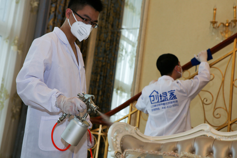 什么植物可以凈化空氣？