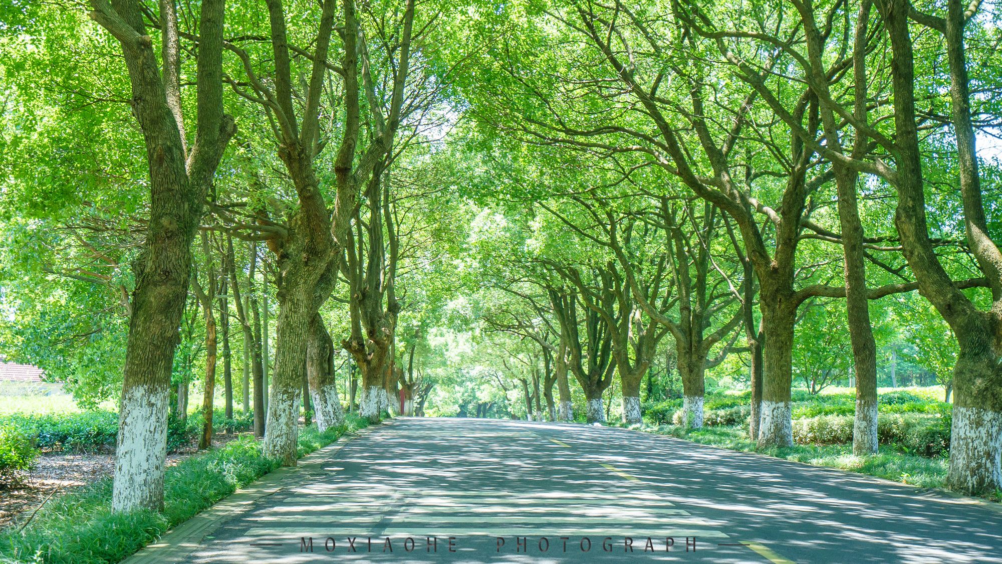 #助力高考# 保存好你的高考準考證，創(chuàng)綠家送您安“醛”一夏！