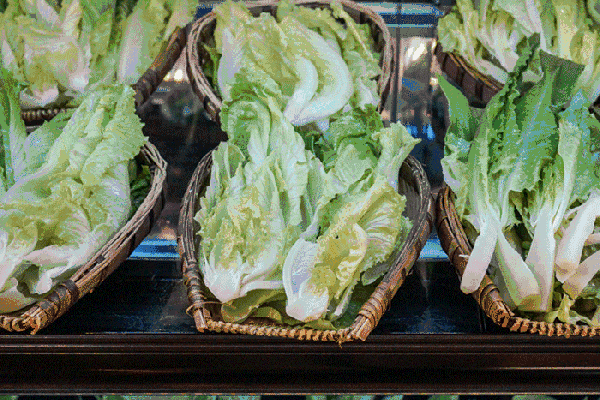 夏至高溫預(yù)警！消暑養(yǎng)生秘笈了解一下？