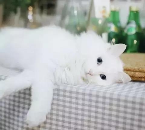 21天3000元重裝出租屋 除甲醛莫忘記！