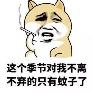 成分中有甲醛蚊香立馬變毒香，甚至還會致癌……