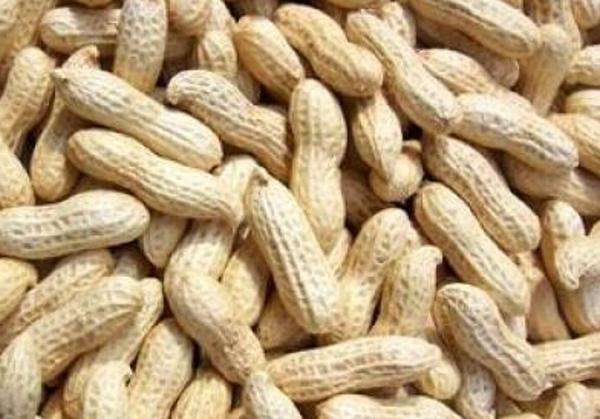 水煮花生含甲醛？實(shí)測多家燒烤店結(jié)果太可怕！