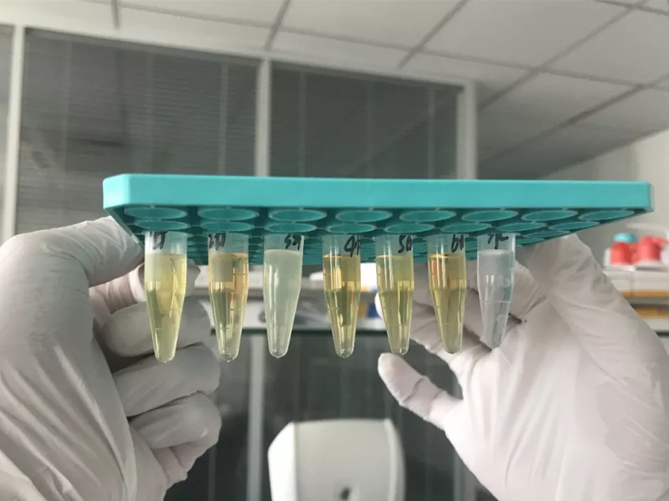 水煮花生含甲醛？實(shí)測多家燒烤店結(jié)果太可怕！