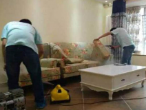 除甲醛公司需要具備哪些實力？