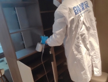 除甲醛怎么做效果好？