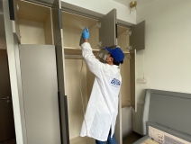 怎樣去除家里的甲醛？