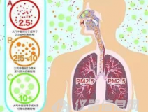 如何判斷甲醛中毒？癥狀怎么樣？