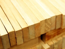 家長們集體發(fā)聲：不要打著“環(huán)?！钡钠熳訉⒆油聪露臼?！