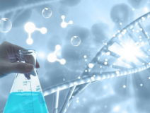 除甲醛需要注意什么？