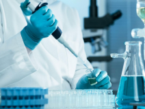 綠植真的能除甲醛嗎？