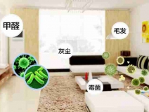 網(wǎng)上的除甲醛好辦法真的有效嗎？原理是什么